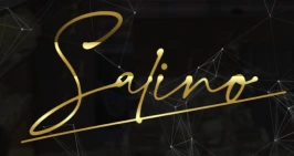لوگو شرکت Salino - خریدار رکتیفایر سوئیچینگ لونی